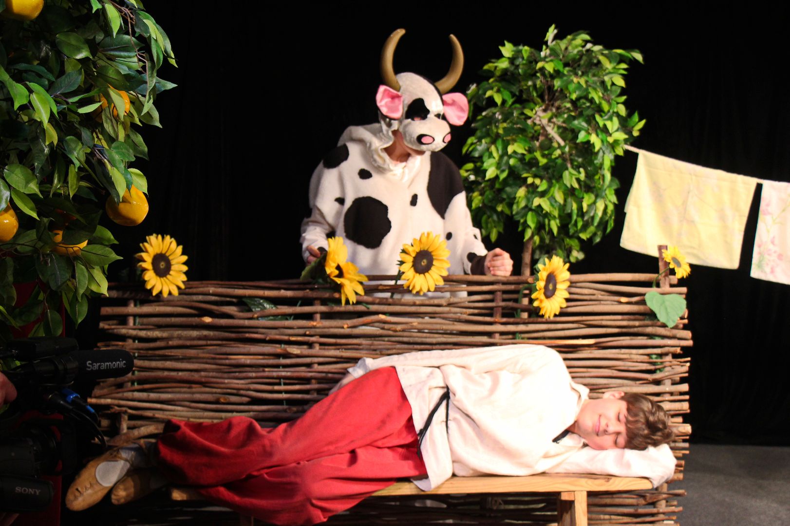 Лобня, культура, фестиваль