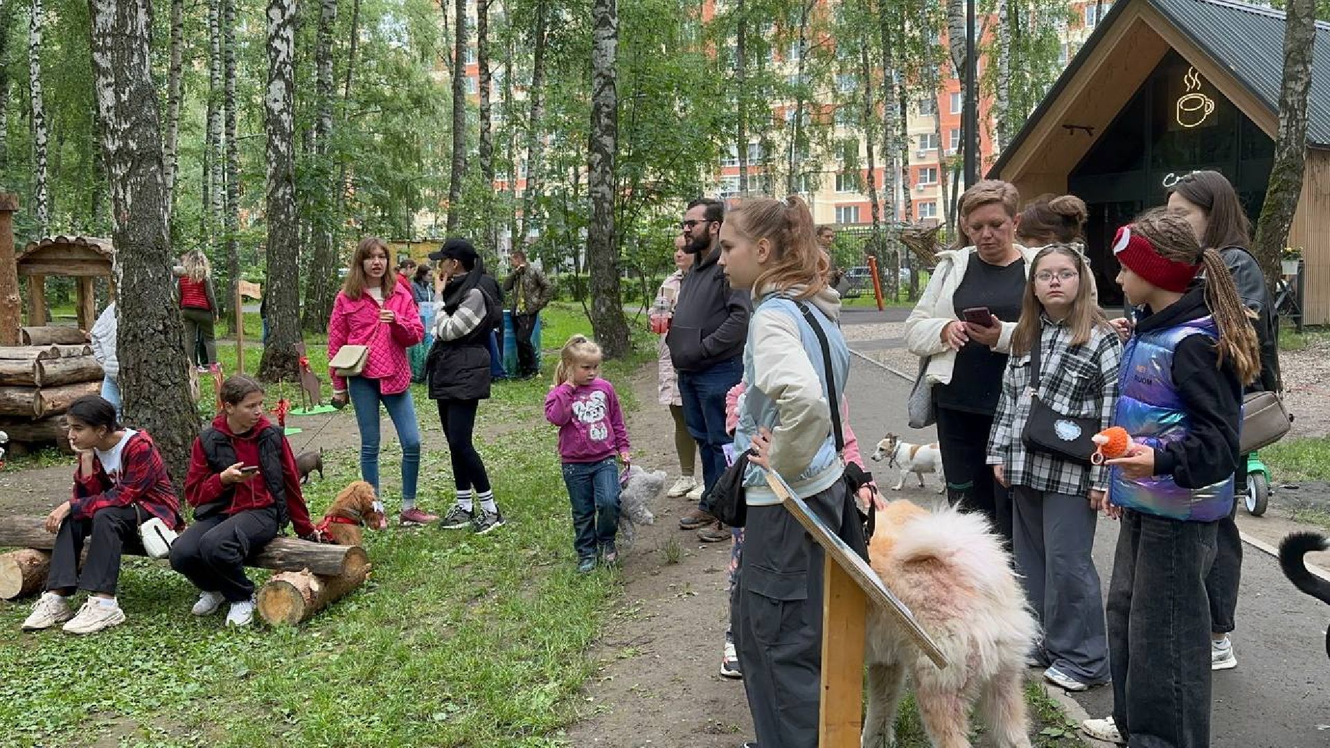 домодедово, парки, уход за животными,