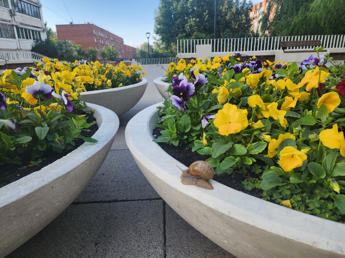 пущино, серпухов, улитки, экология,