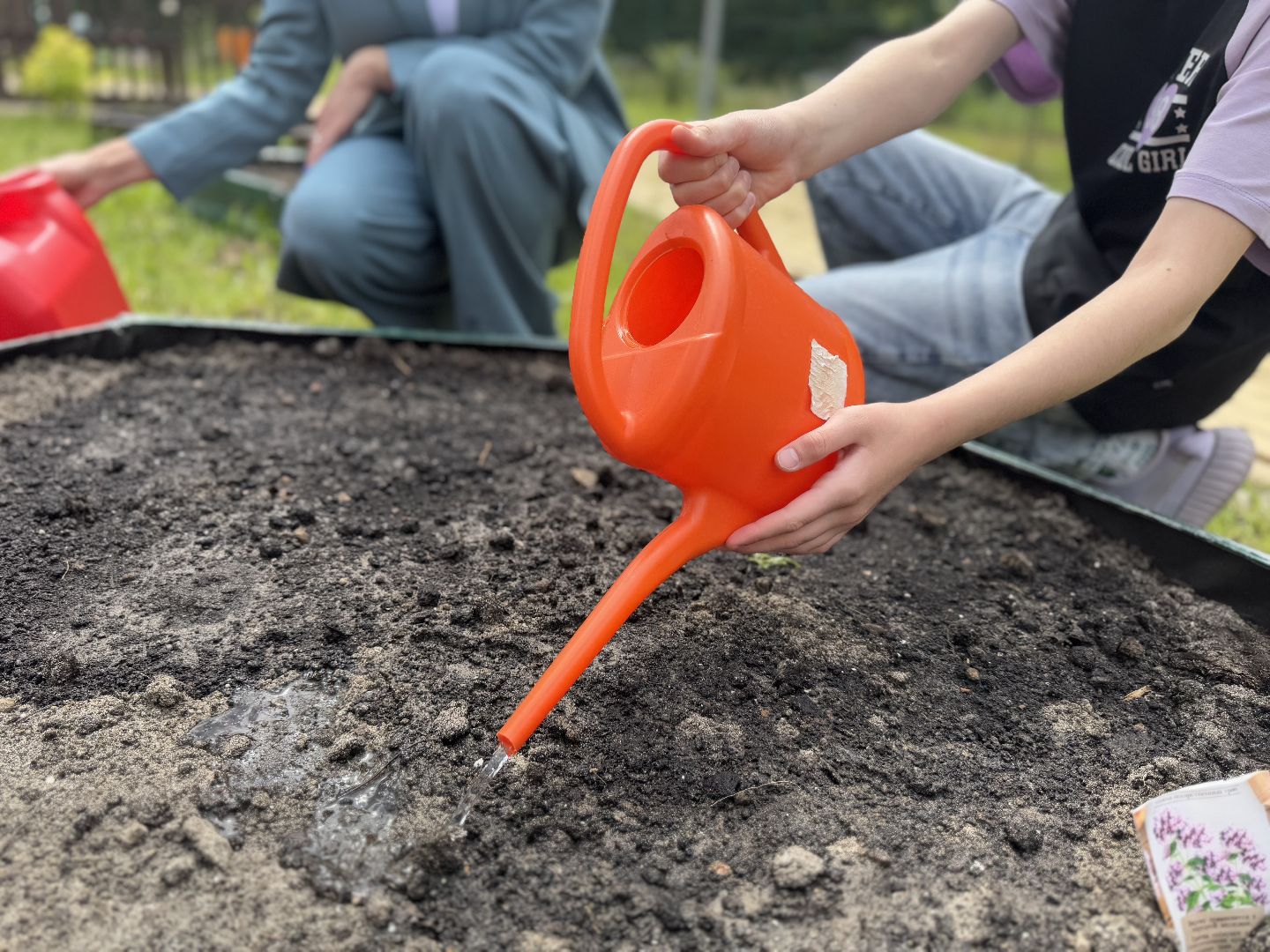 Гимназия 1 им Героя Российской Федерации А.В. Баландина, Балашиха, аптекарский огород,