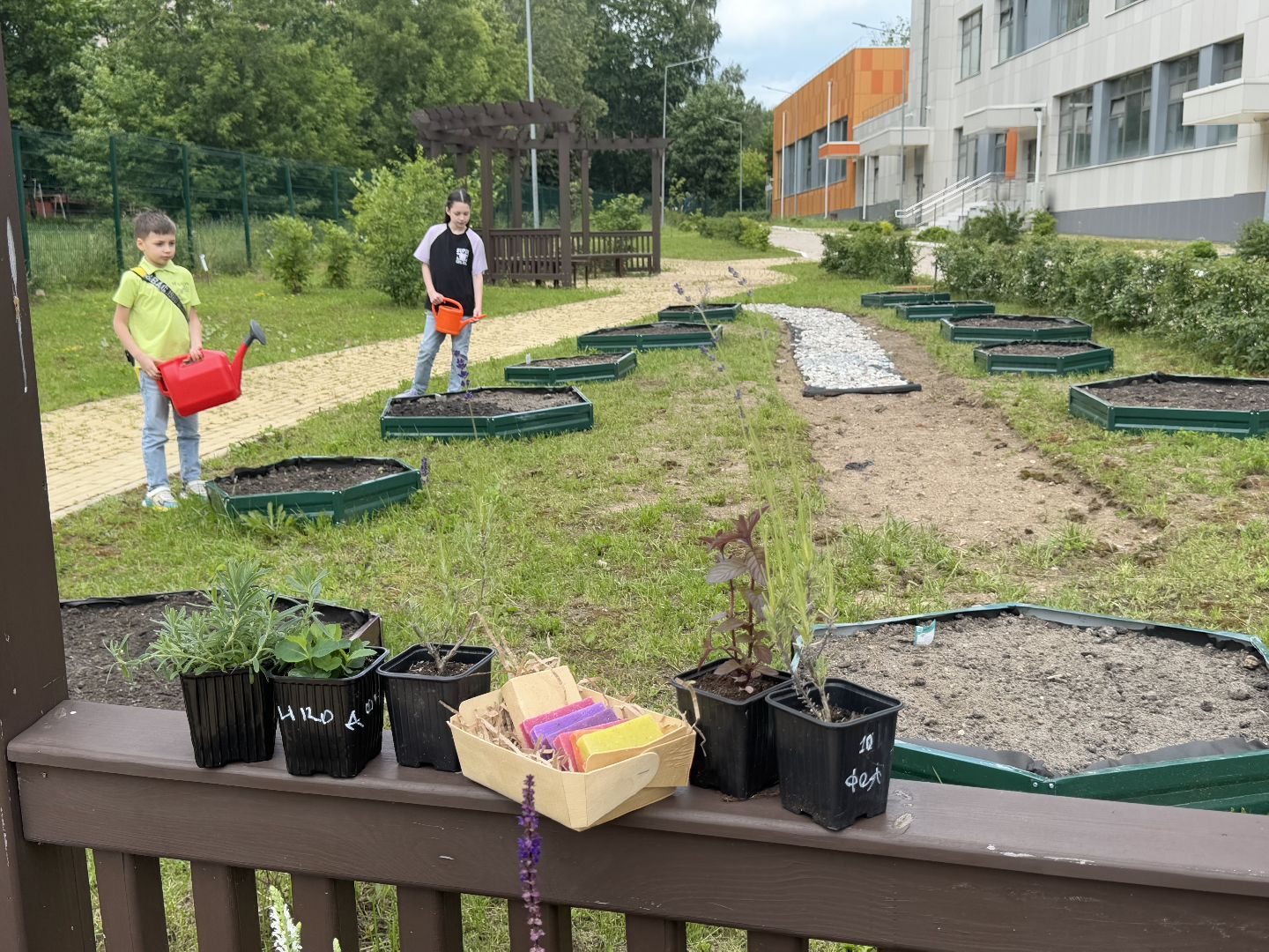 Гимназия 1 им Героя Российской Федерации А.В. Баландина, Балашиха, аптекарский огород,