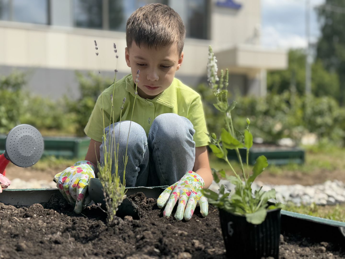 Гимназия 1 им Героя Российской Федерации А.В. Баландина, Балашиха, аптекарский огород,
