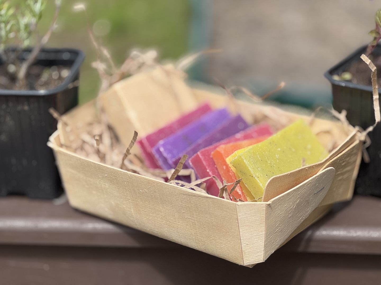 Гимназия 1 им Героя Российской Федерации А.В. Баландина, Балашиха, аптекарский огород,