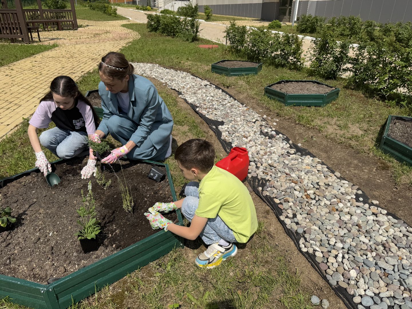 Гимназия 1 им Героя Российской Федерации А.В. Баландина, Балашиха, аптекарский огород,