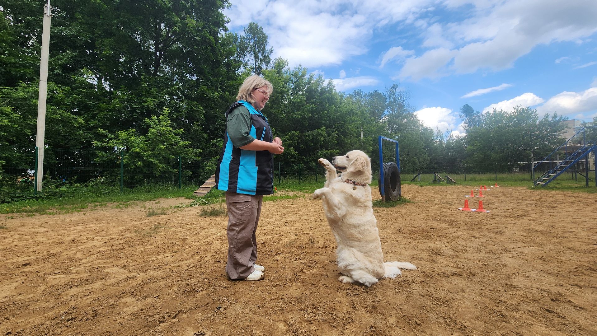 солнечногорск, животные, дрессировка, собаки,