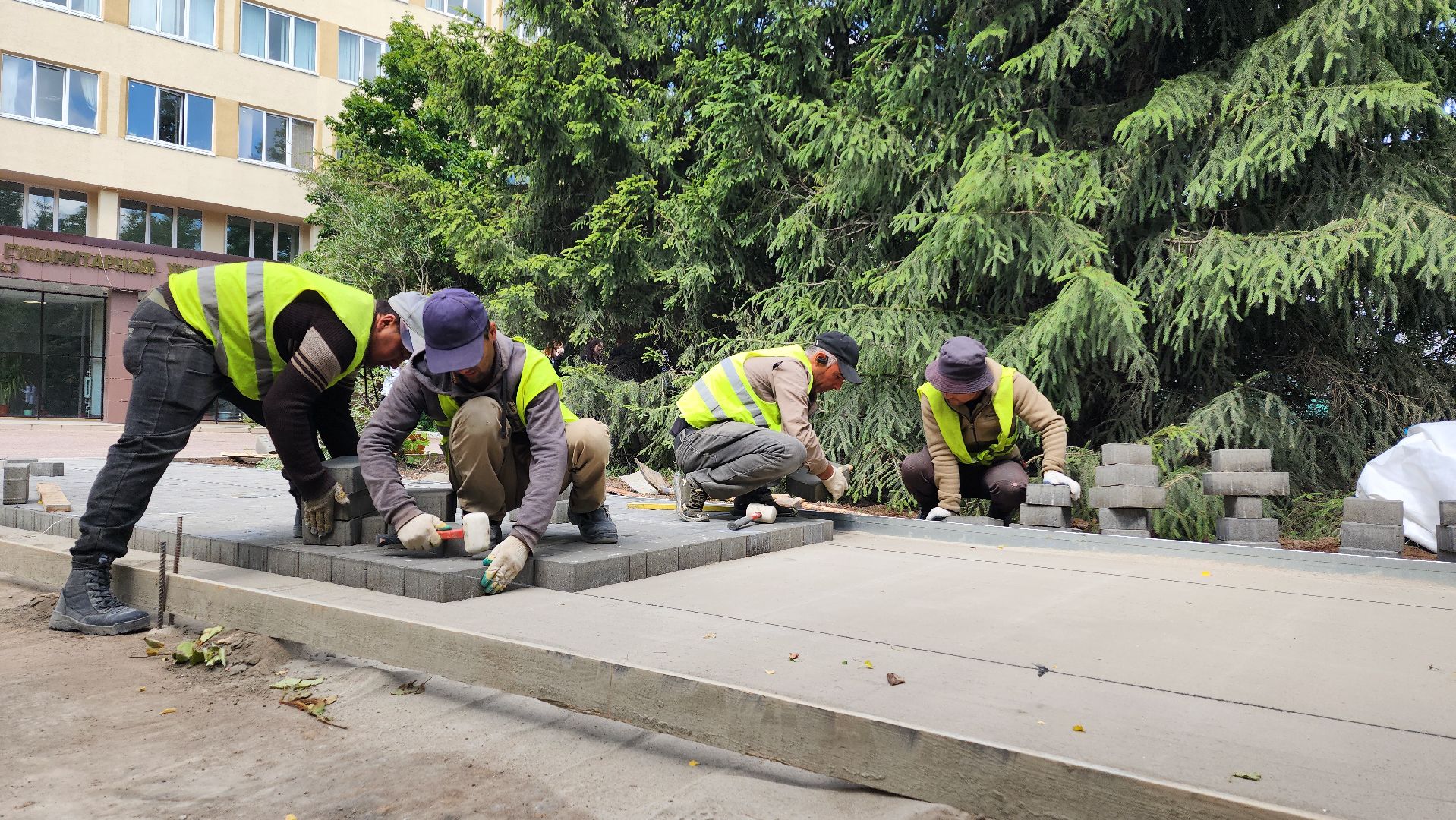 домодедово, сквер , подмосковье ,благоустройство , досуг ,молодежь ,студенческий сквер ,