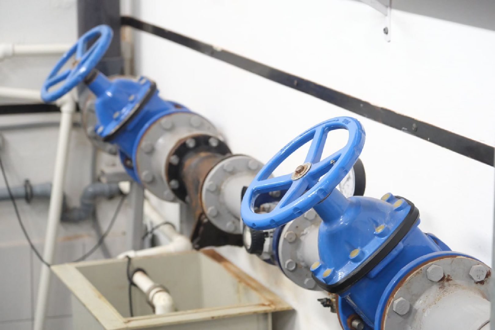 лыткарино, общество, бассейн, профилактика,