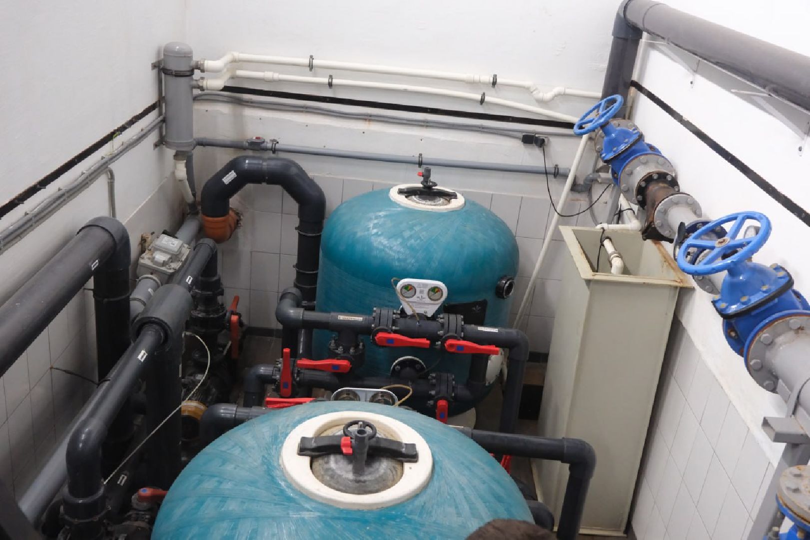 лыткарино, общество, бассейн, профилактика,