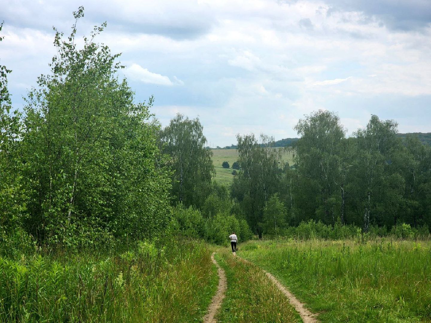 пущино, серпухов, лето в подмосковье, ягодный сезон,