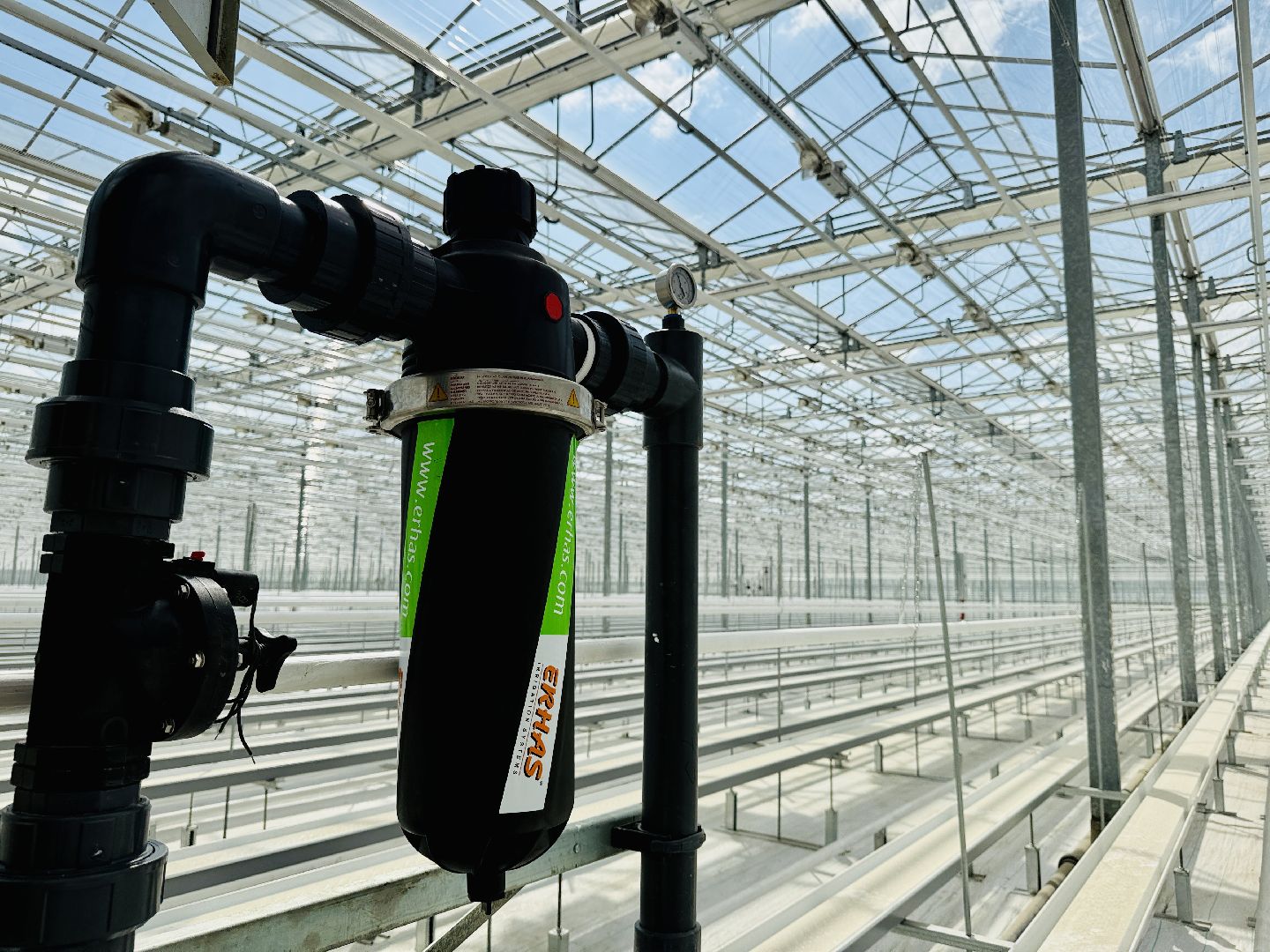 раменское, розы, подосинки, тепличный комплекс, производство, цветы,