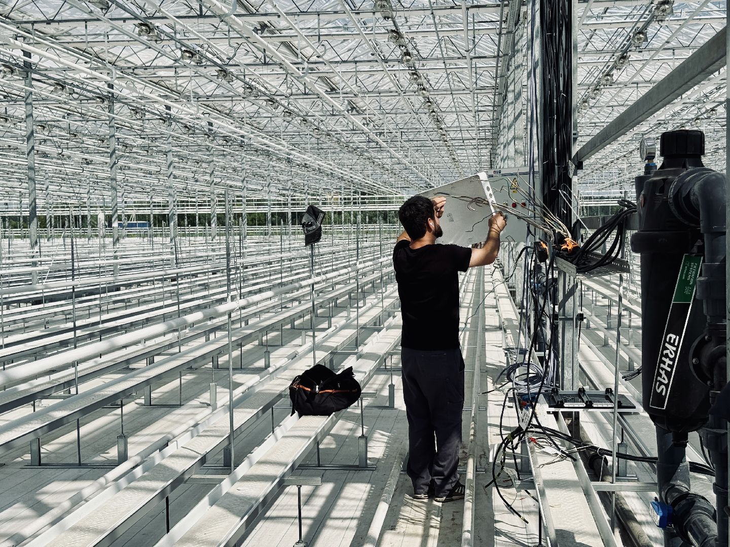 раменское, розы, подосинки, тепличный комплекс, производство, цветы,