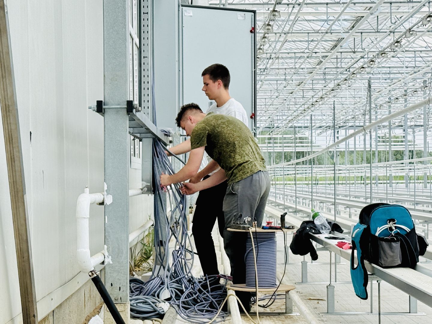 раменское, розы, подосинки, тепличный комплекс, производство, цветы,