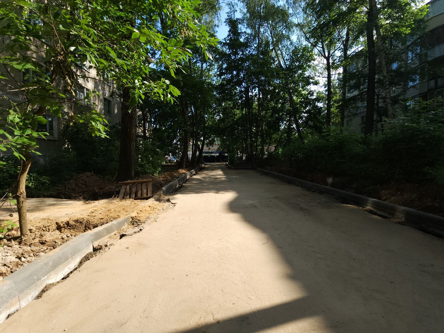 мытищи, благоустройство, встреча, диалог,