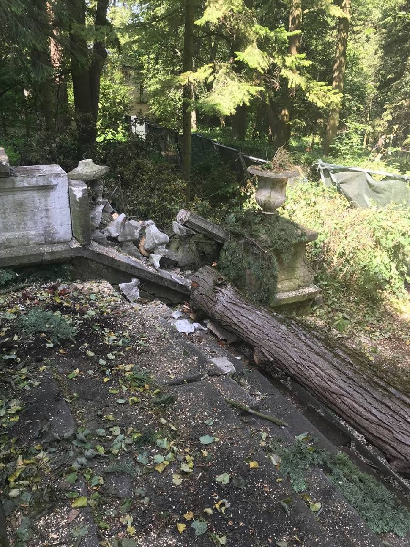 раменское, усадьба быково, ураган, волонтеры, Усадьба Быково Проект возрождения,