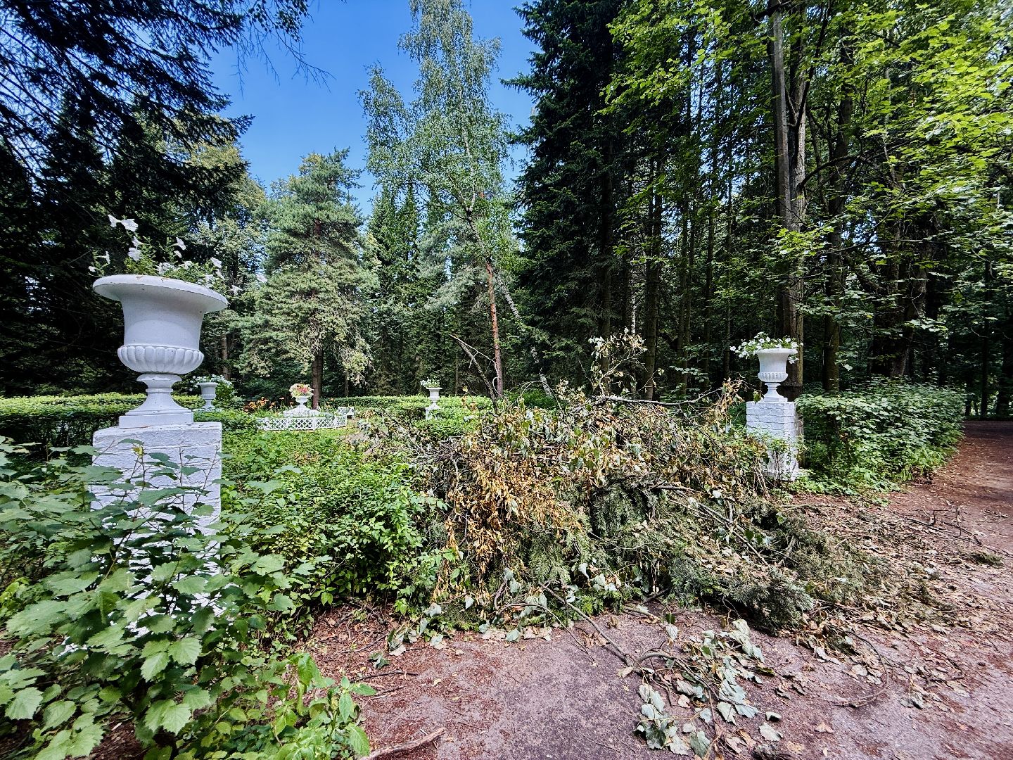 раменское, усадьба быково, ураган, волонтеры, Усадьба Быково Проект возрождения,