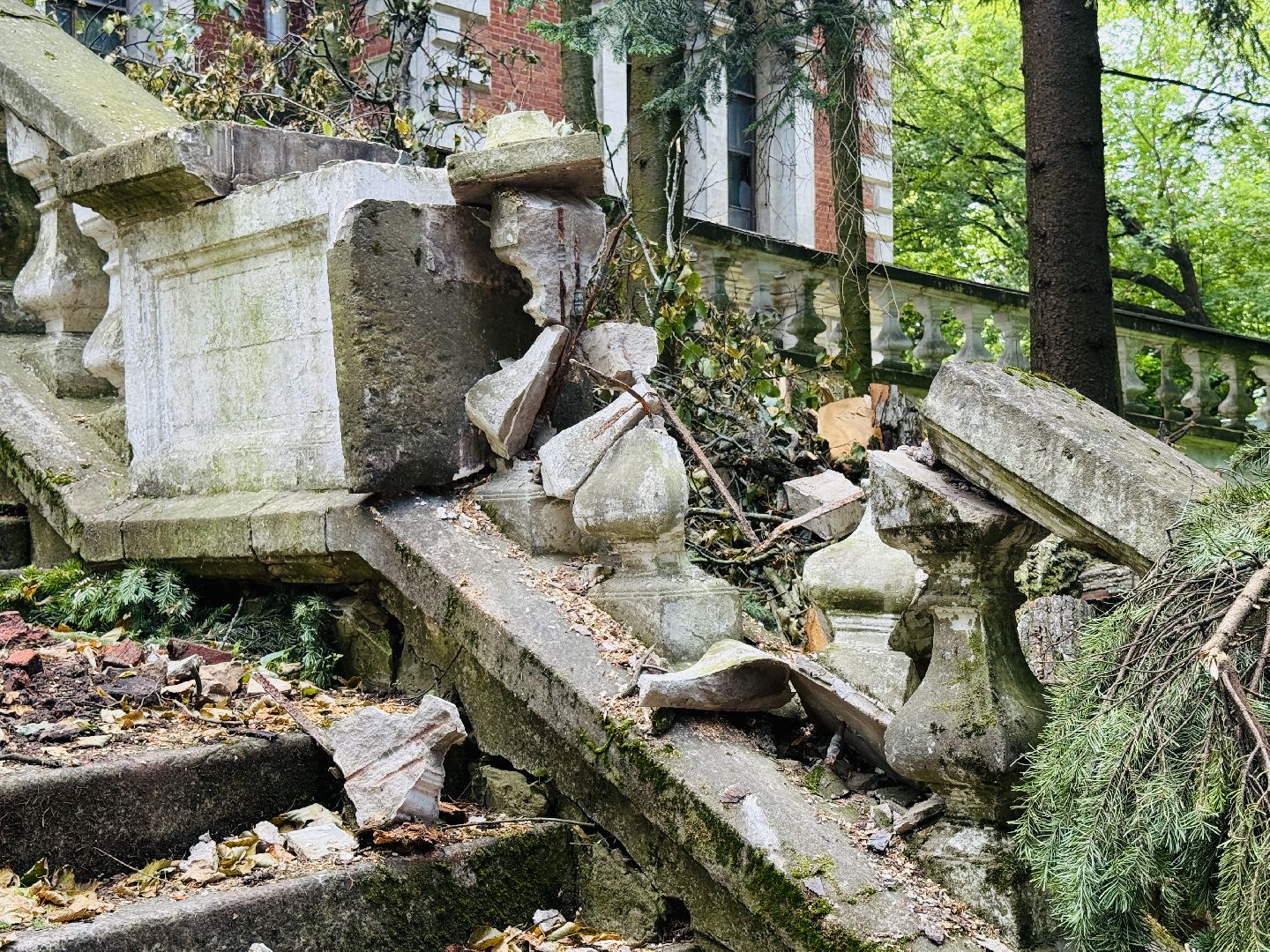 раменское, усадьба быково, ураган, волонтеры, Усадьба Быково Проект возрождения,