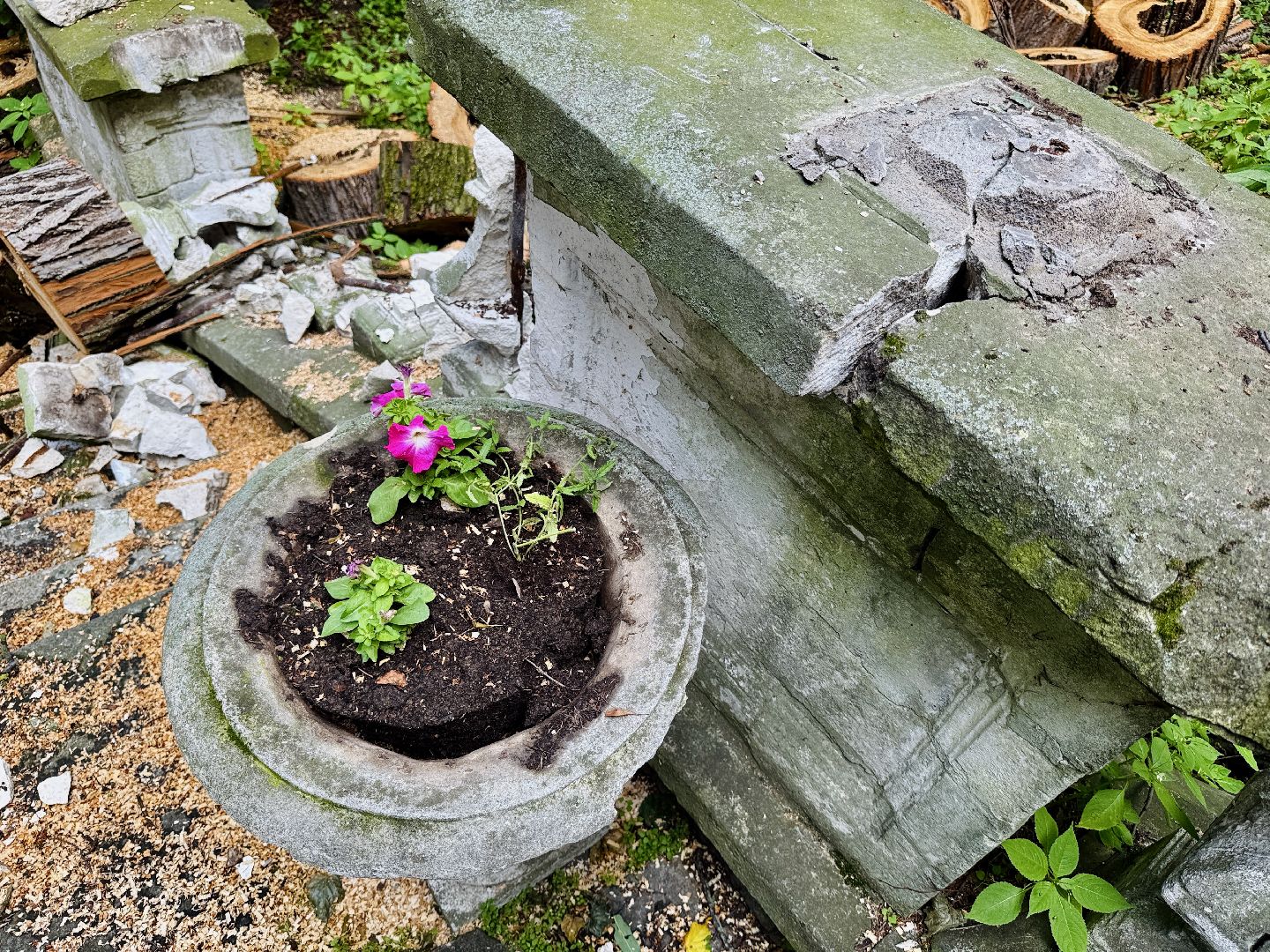 раменское, усадьба быково, ураган, волонтеры, Усадьба Быково Проект возрождения,