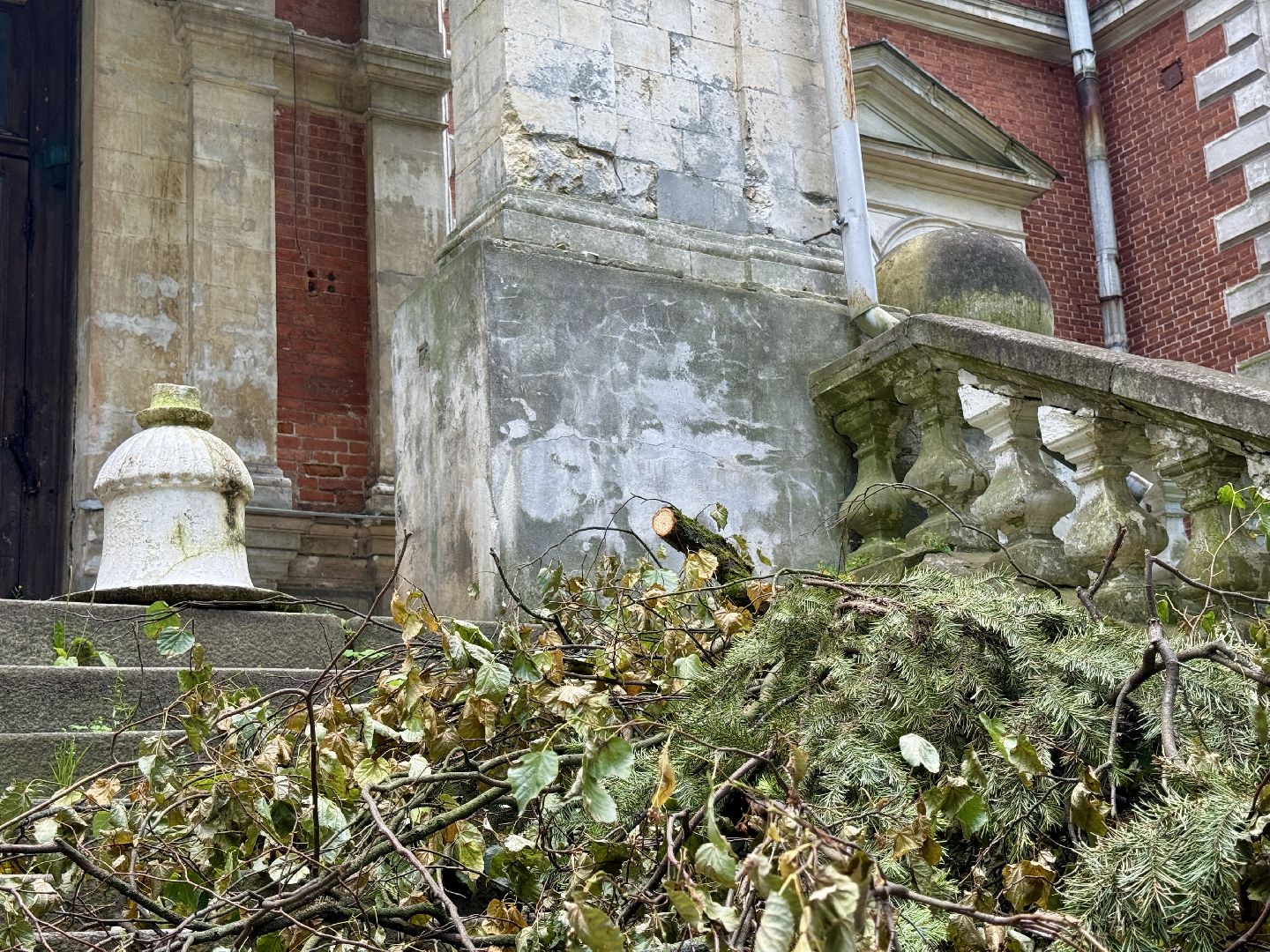 раменское, усадьба быково, ураган, волонтеры, Усадьба Быково Проект возрождения,