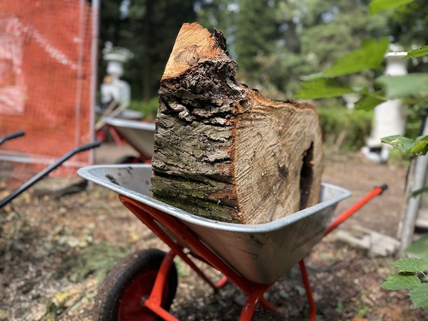 раменское, усадьба быково, ураган, волонтеры, Усадьба Быково Проект возрождения,