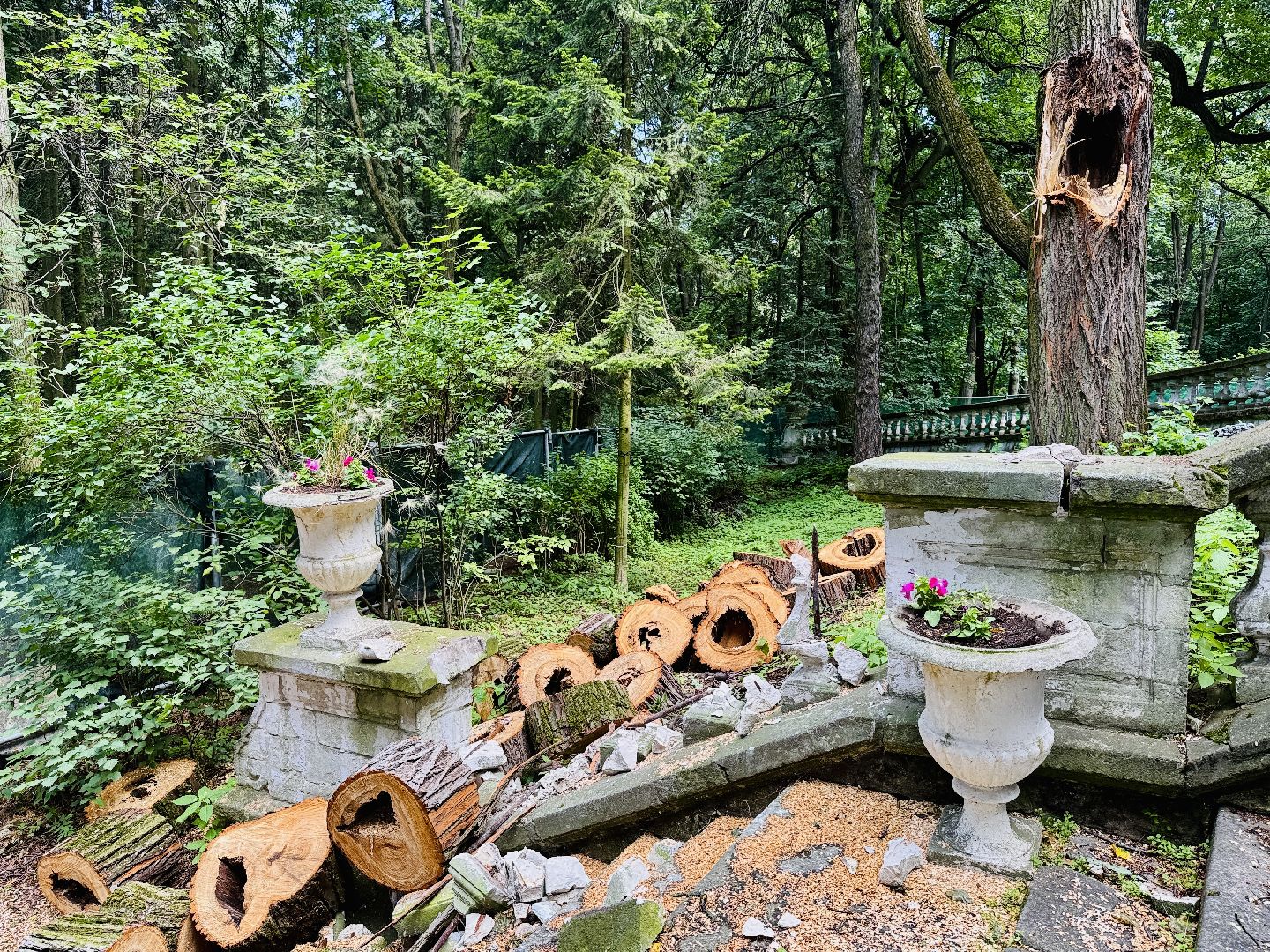 раменское, усадьба быково, ураган, волонтеры, Усадьба Быково Проект возрождения,