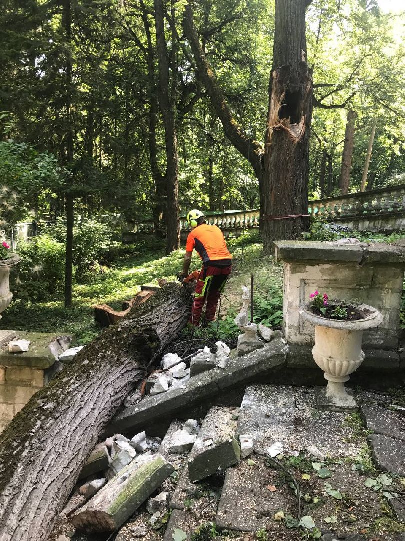 раменское, усадьба быково, ураган, волонтеры, Усадьба Быково Проект возрождения,