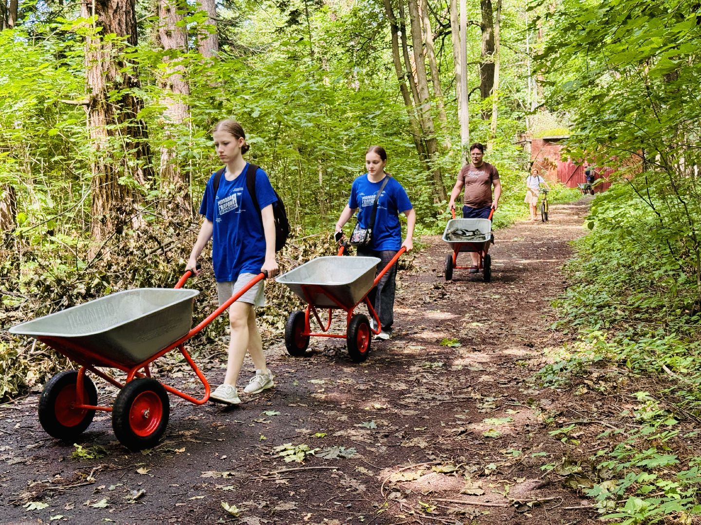 раменское, усадьба быково, ураган, волонтеры, Усадьба Быково Проект возрождения,
