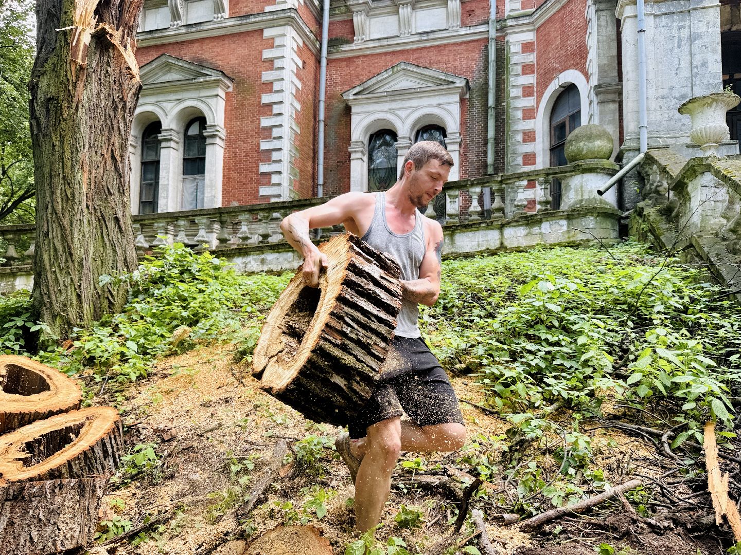 раменское, усадьба быково, ураган, волонтеры, Усадьба Быково Проект возрождения,