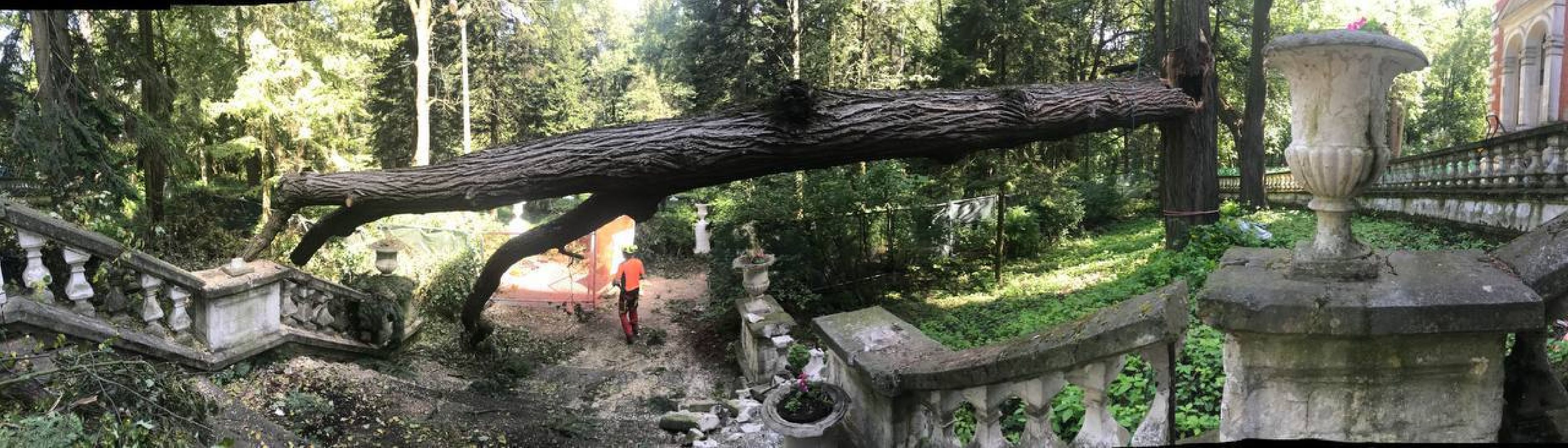 раменское, усадьба быково, ураган, волонтеры, Усадьба Быково Проект возрождения,