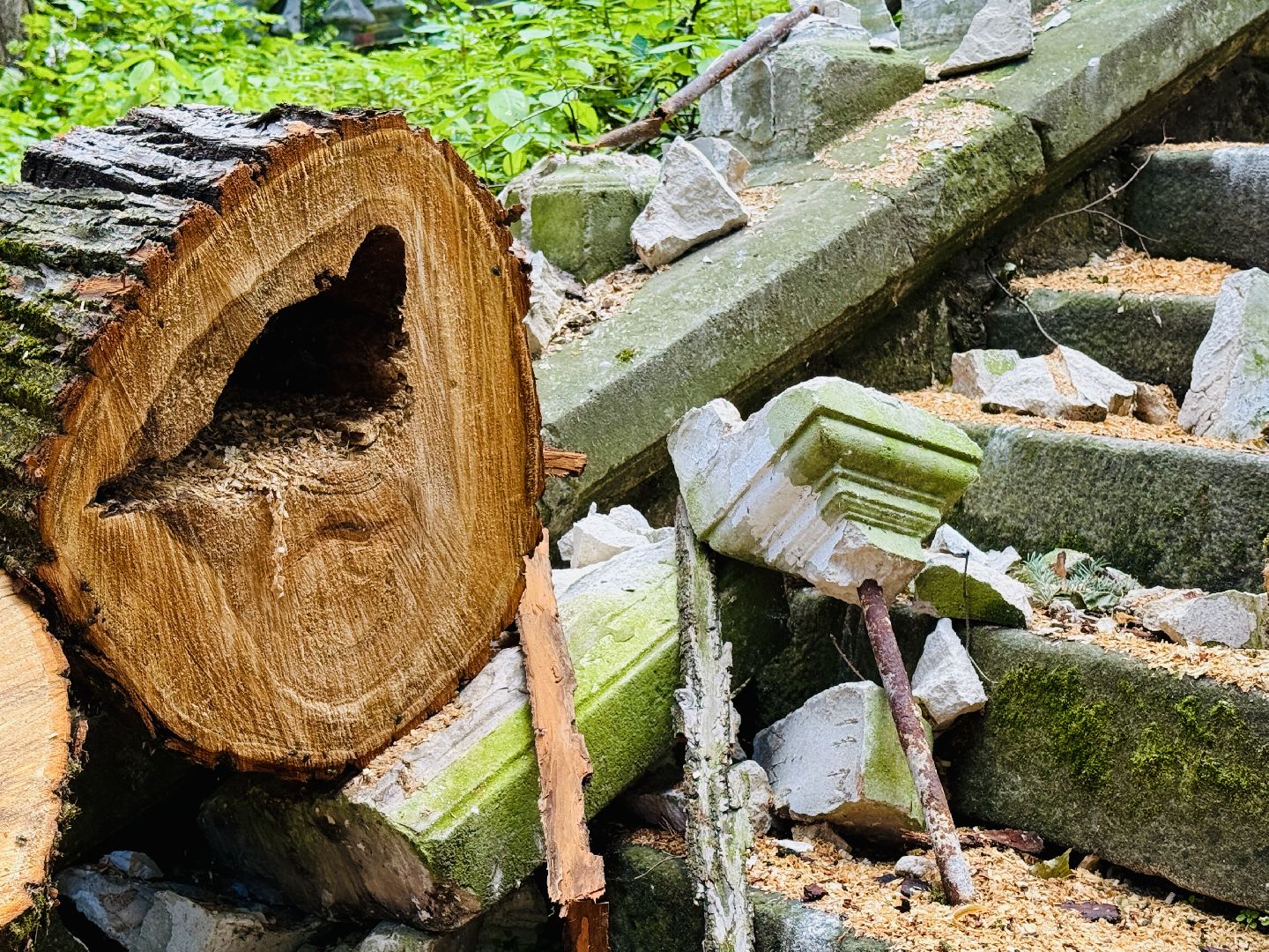 раменское, усадьба быково, ураган, волонтеры, Усадьба Быково Проект возрождения,
