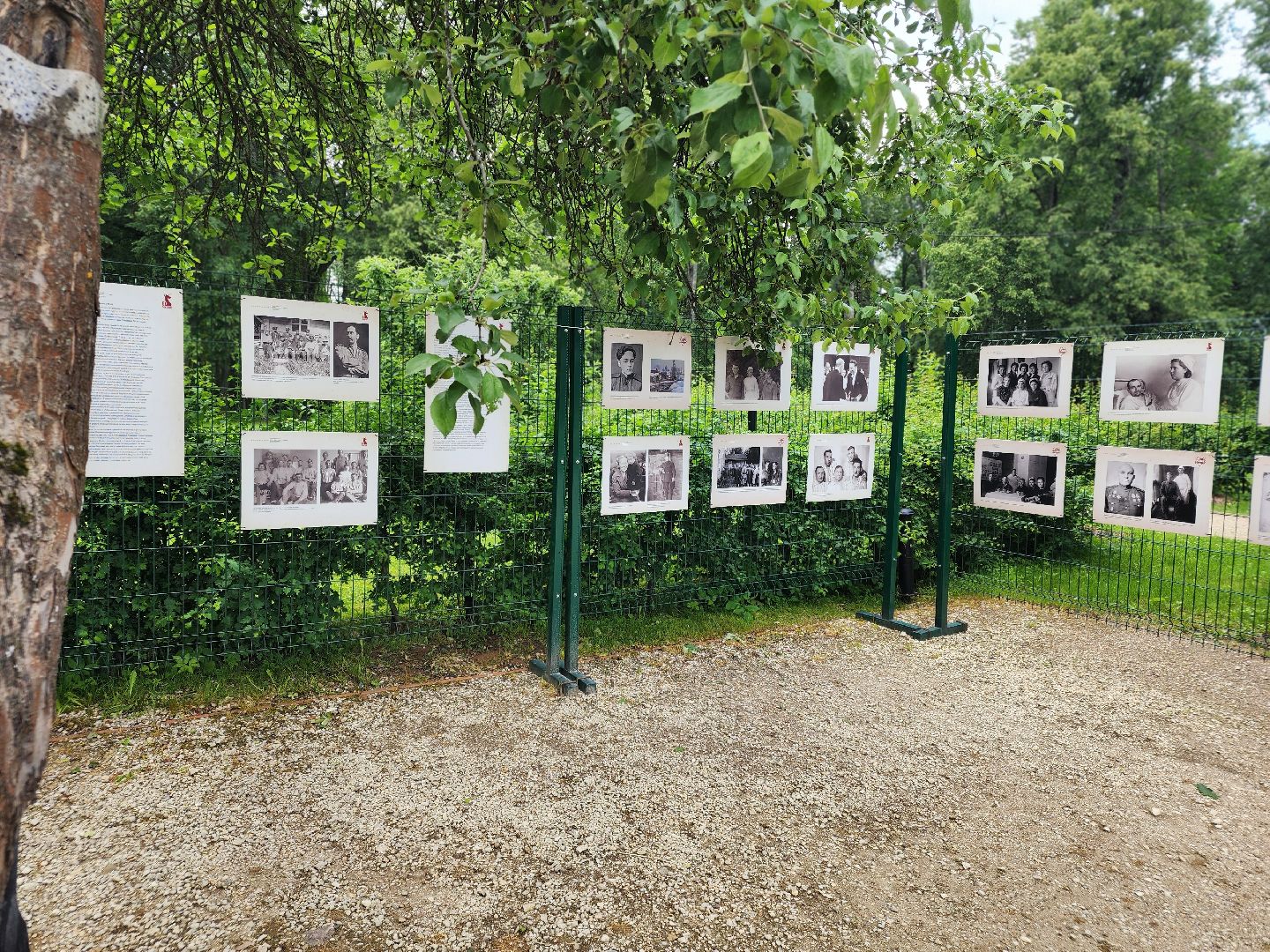 сергиев посад, сергиево-посадский городской округ, музей-заповедник абрамцево, госпитали в абрамцево, егор кончаловский, традиции милосердия,