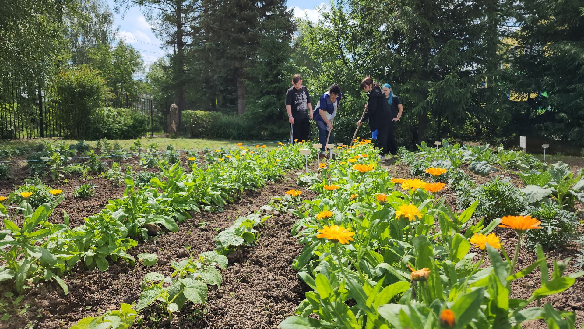 ступино, агроклассы, сельское хозяйство, образование,