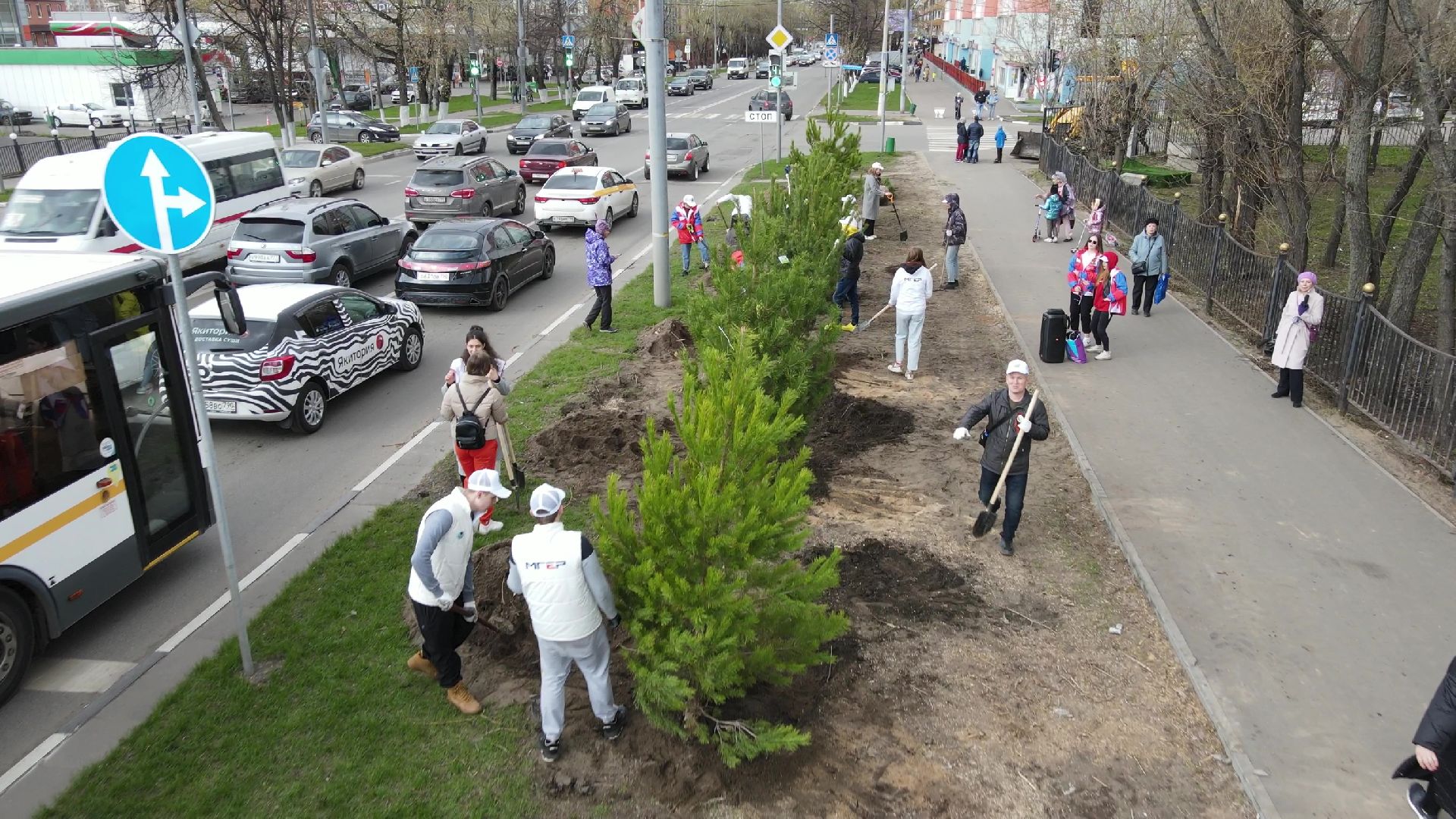 Реутов, Лес Победы, деревья, благоустройство, посади своё дерево