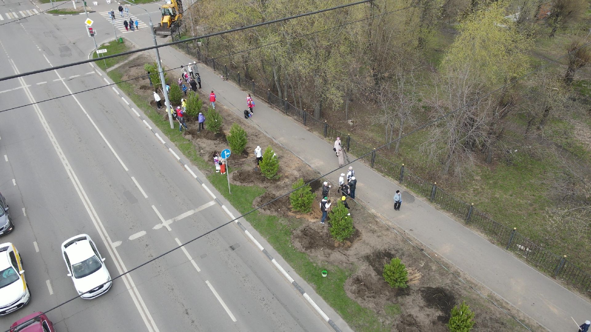Реутов, Лес Победы, деревья, благоустройство, посади своё дерево