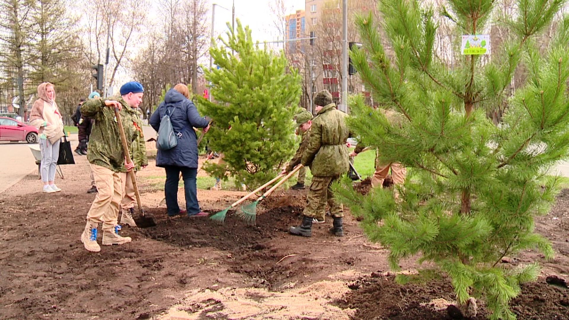 Реутов, Лес Победы, деревья, благоустройство, посади своё дерево