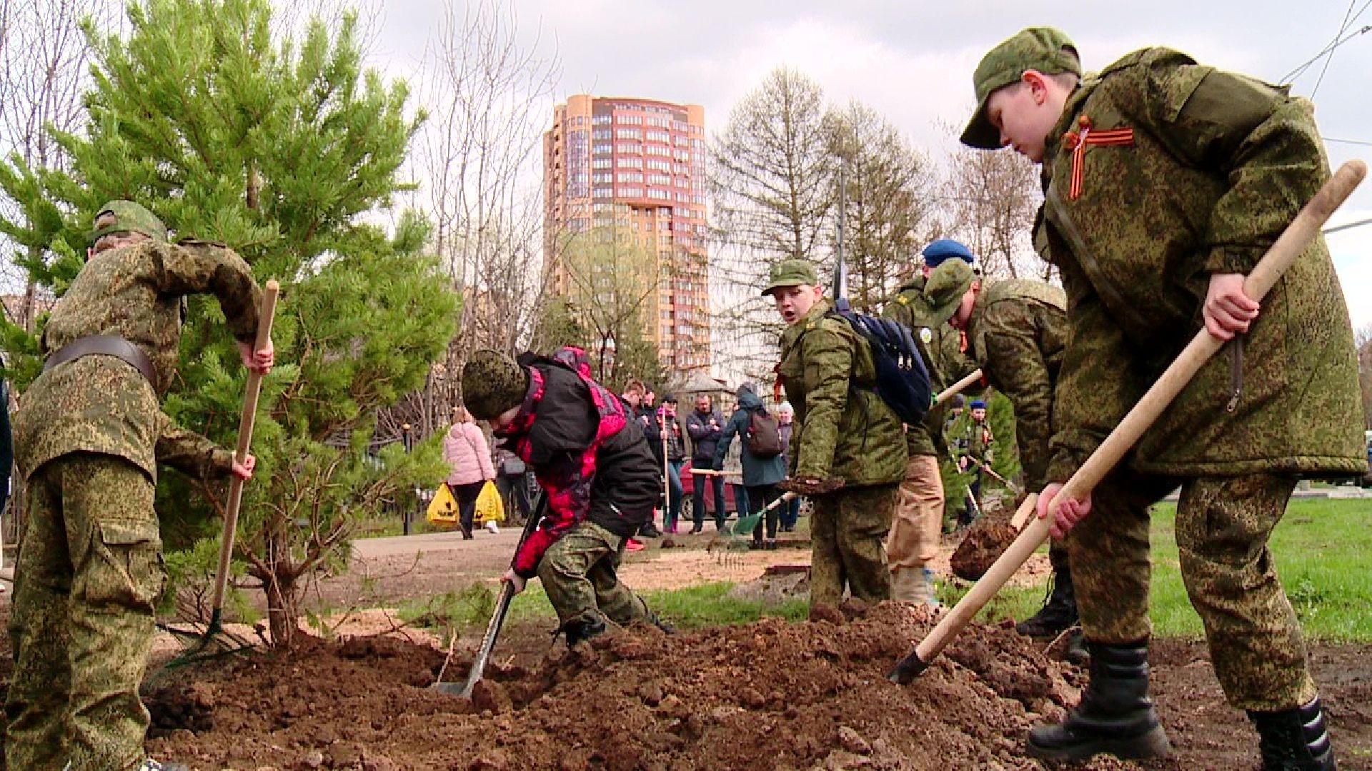 Реутов, Лес Победы, деревья, благоустройство, посади своё дерево