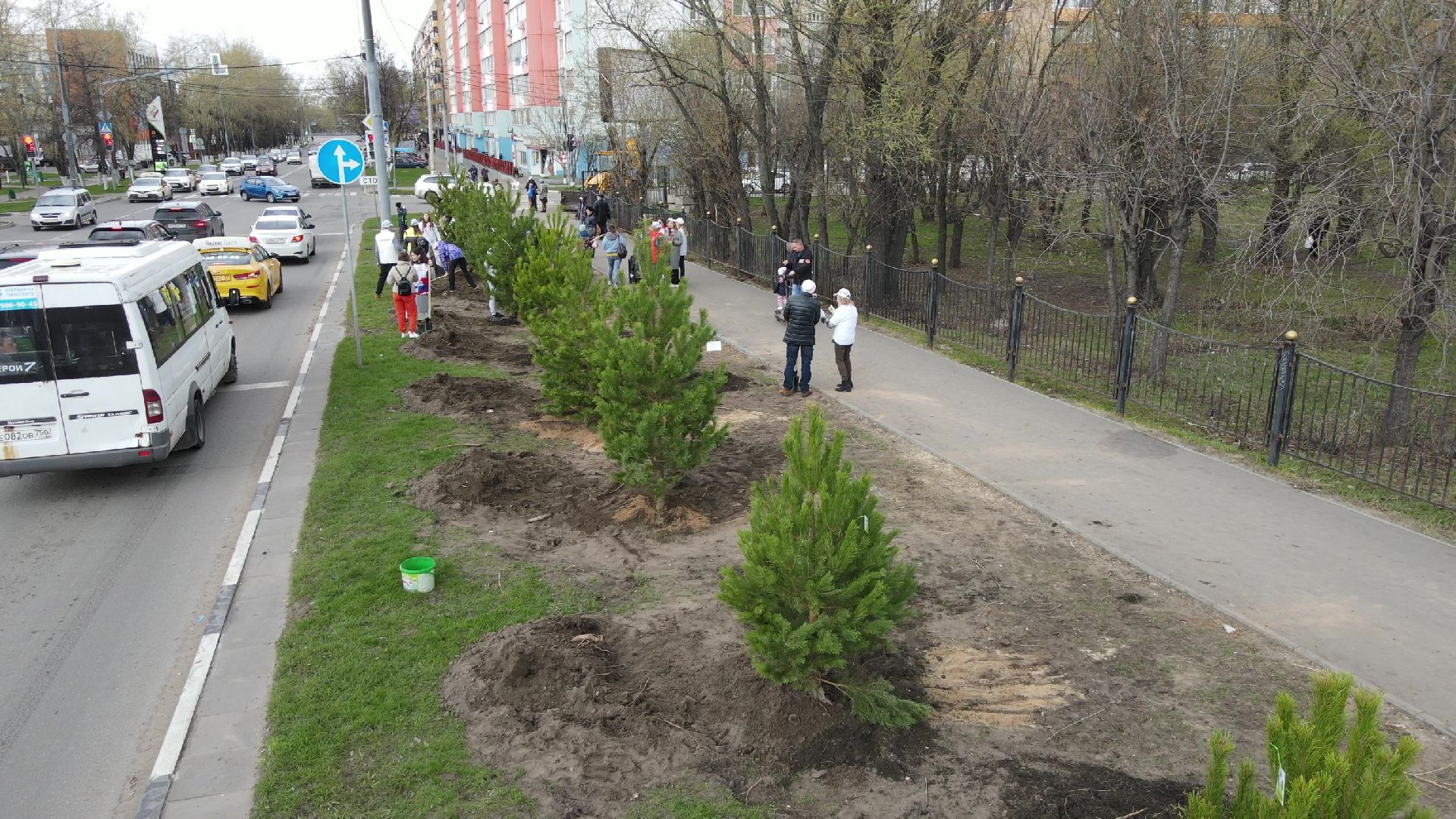 Реутов, Лес Победы, деревья, благоустройство, посади своё дерево