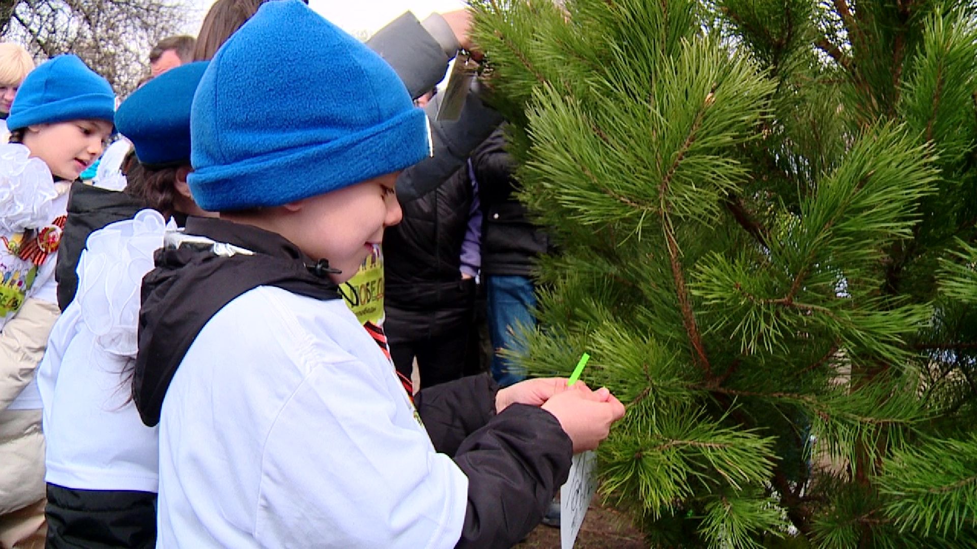 Реутов, Лес Победы, деревья, благоустройство, посади своё дерево