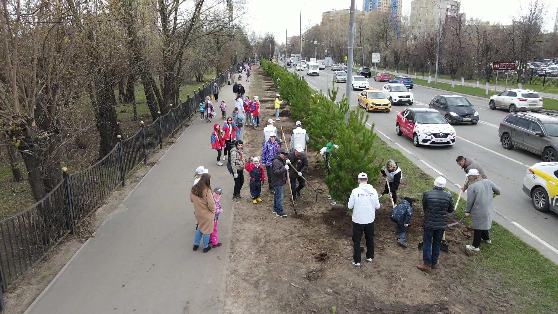 Реутов, Лес Победы, деревья, благоустройство, посади своё дерево