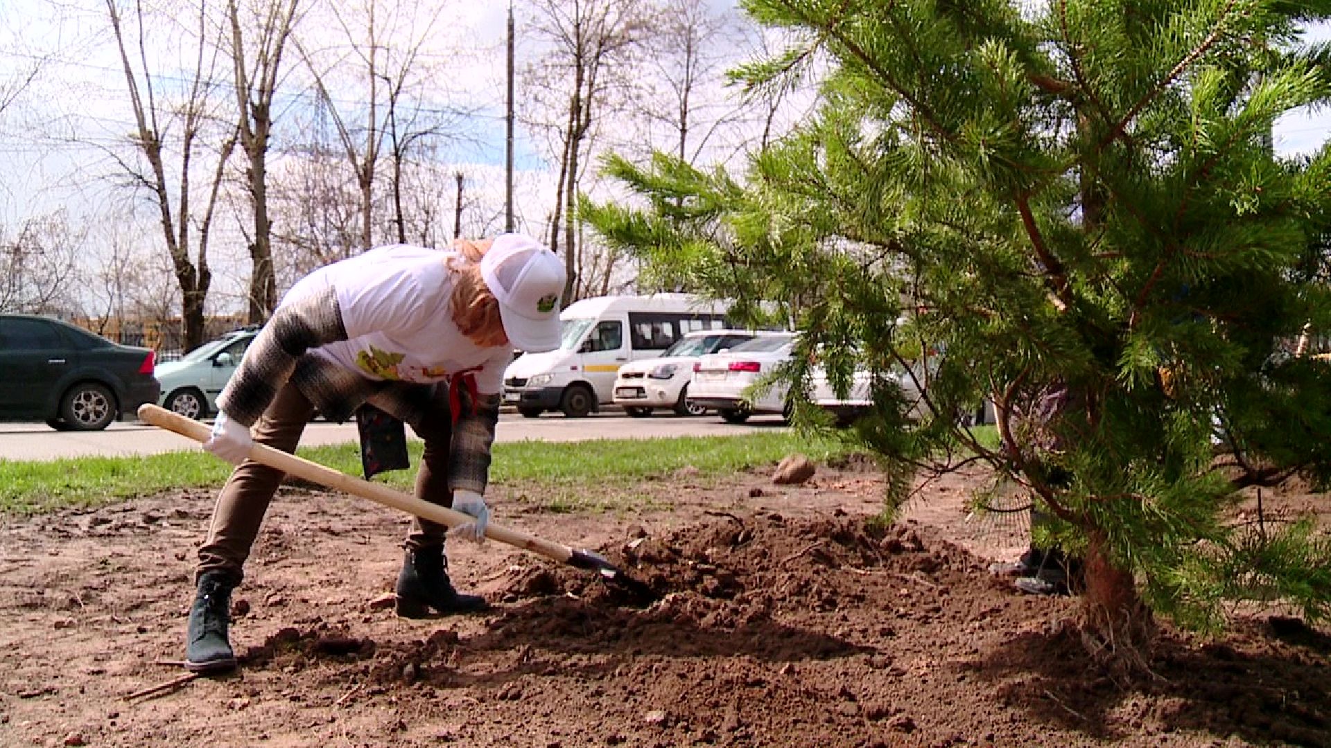 Реутов, Лес Победы, деревья, благоустройство, посади своё дерево