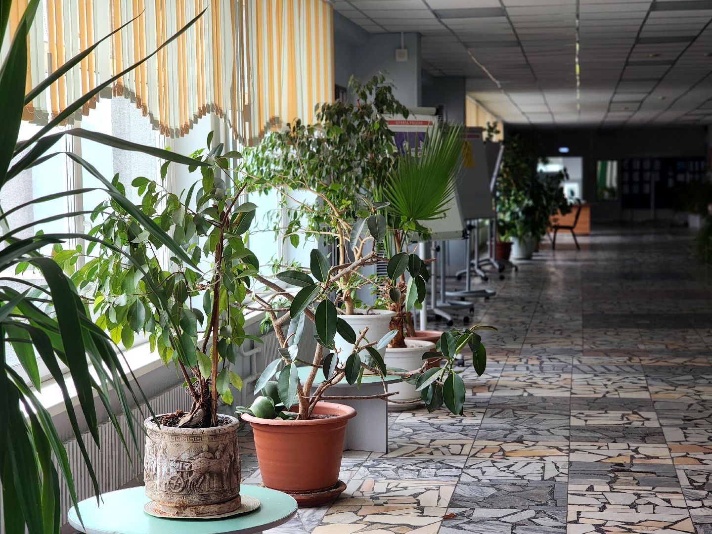 дубна, лицей 6, егэ по биологии, 100 баллов по егэ, орнитология,