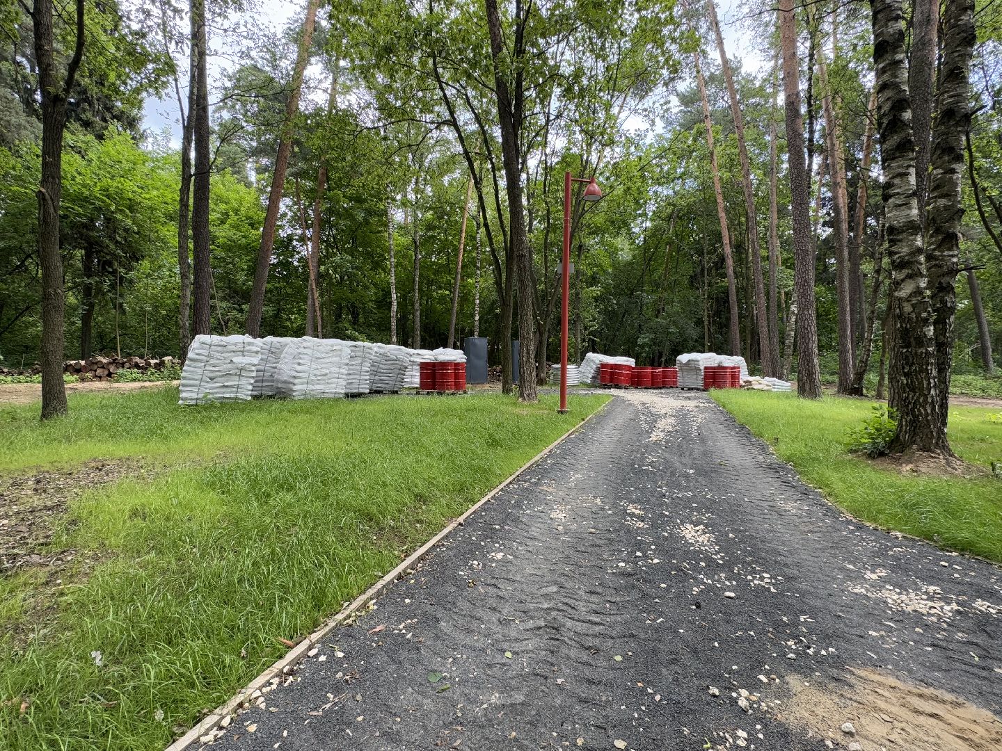 балашиха, кучинский лесопарк, благоустройство, первый этап,