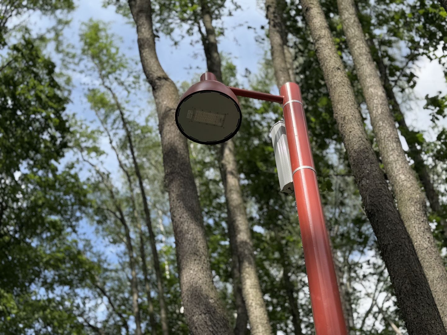 балашиха, кучинский лесопарк, благоустройство, первый этап,