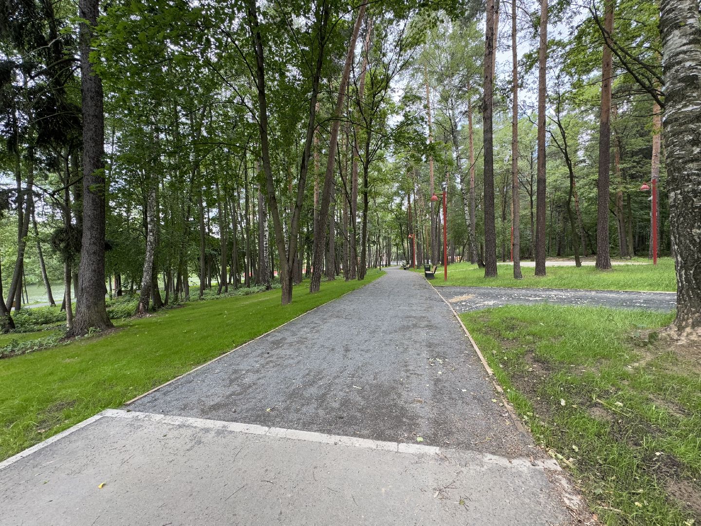 балашиха, кучинский лесопарк, благоустройство, первый этап,