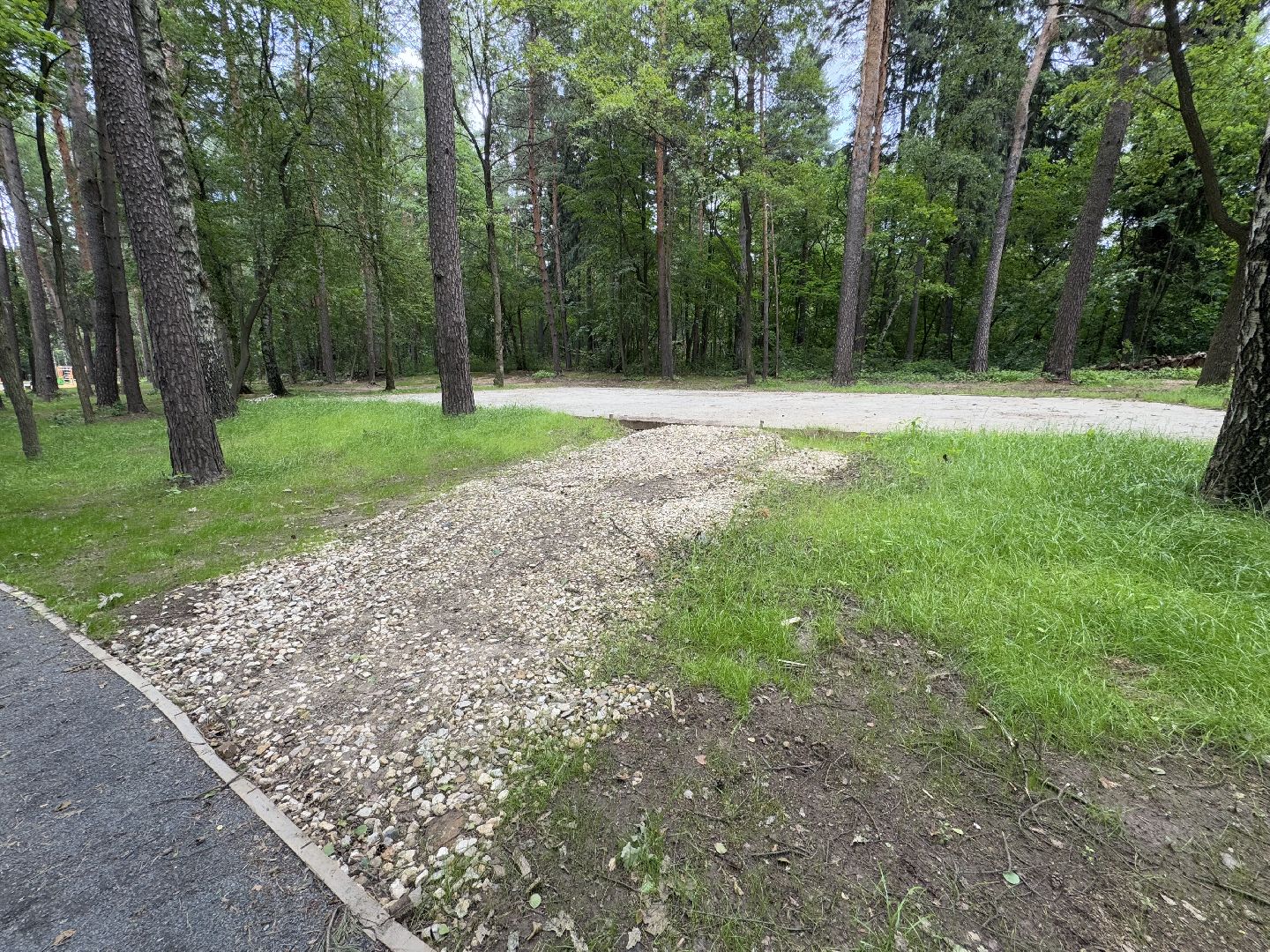 балашиха, кучинский лесопарк, благоустройство, первый этап,