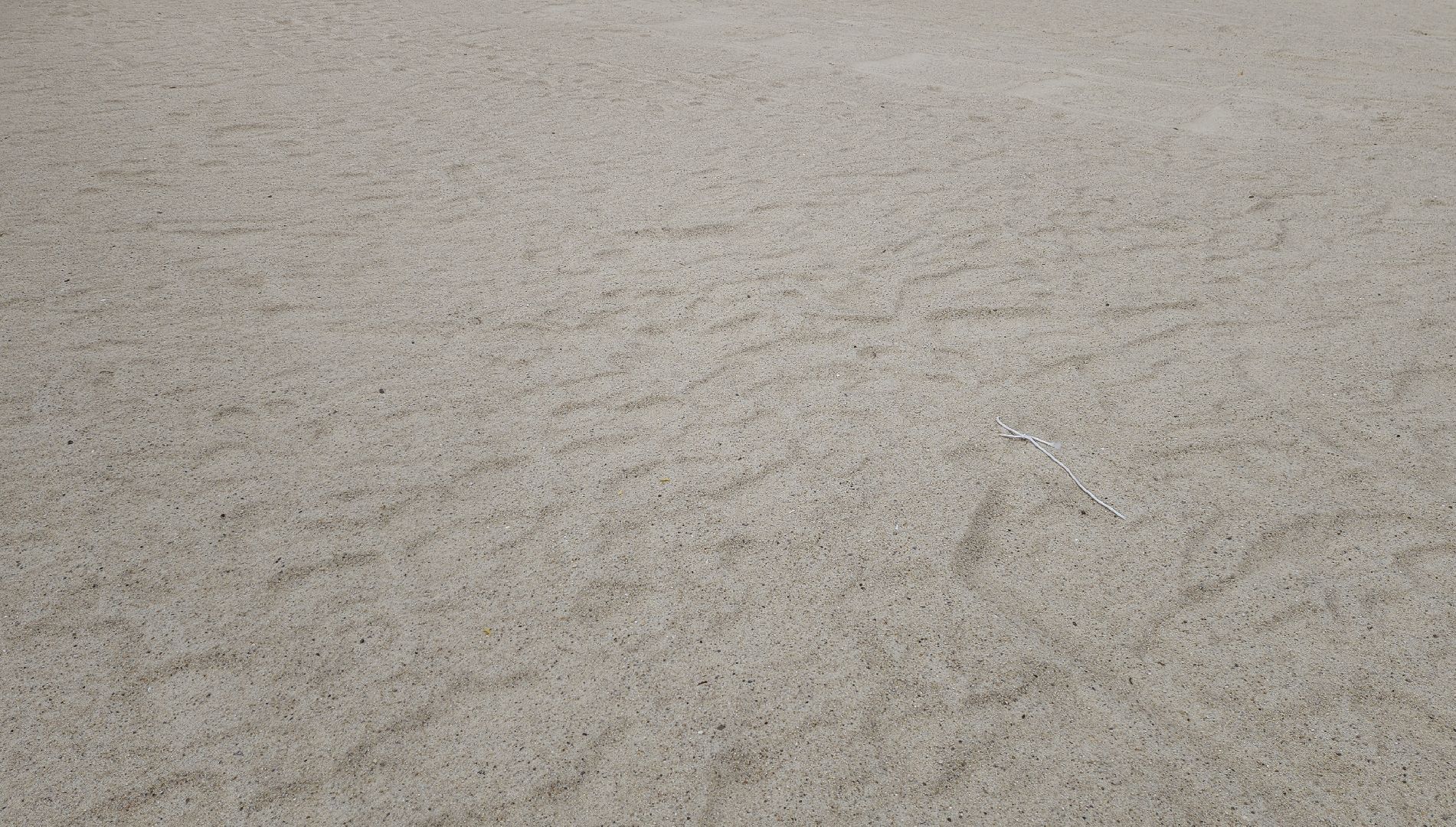 пляжный волейбол, павшинская пойма, красногорск,