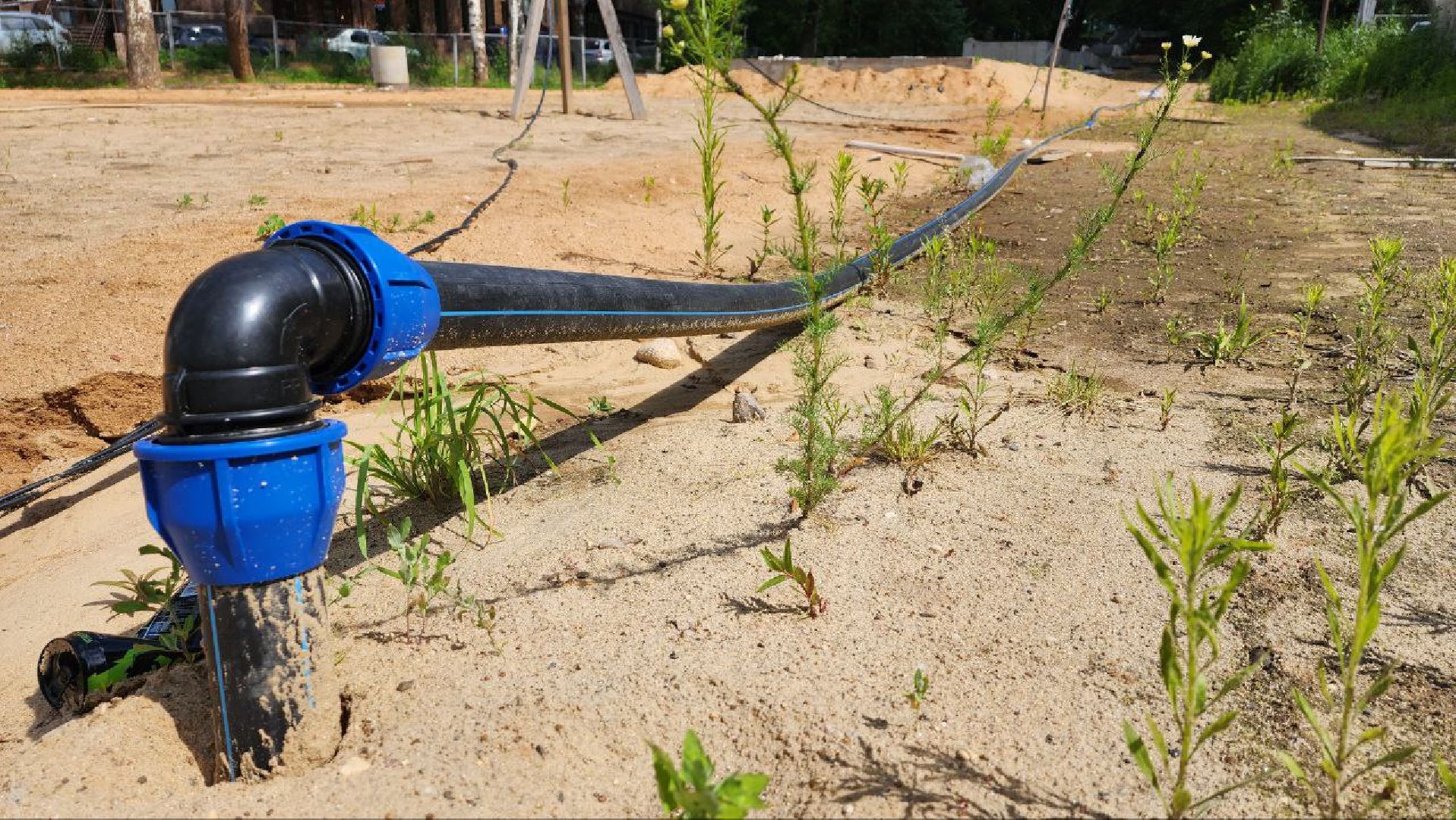 Дмитров, Парк Березовая роща, Фонтанный комплекс, Минблаго,