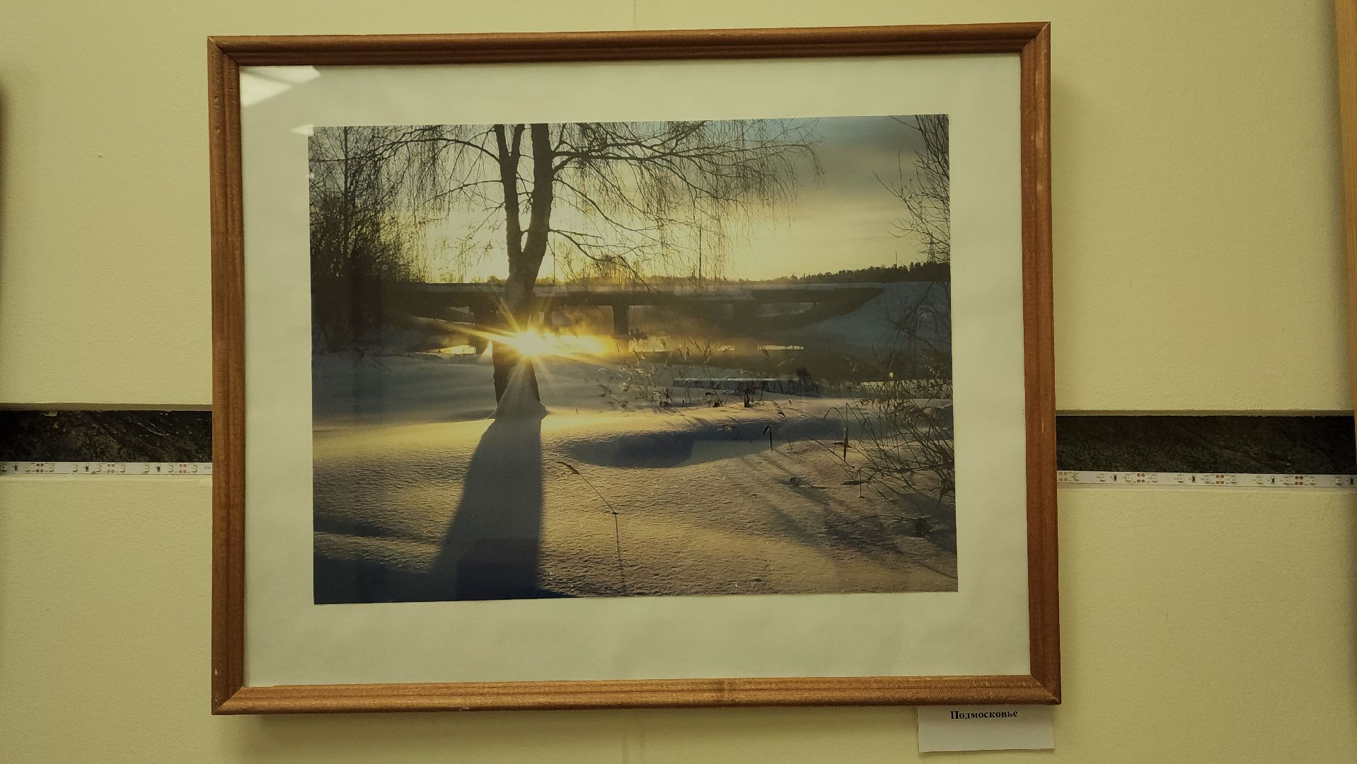 вертикалки, пушкино, фотовыставка, туризм,экспозиция, библиотека,туристические маршруты,