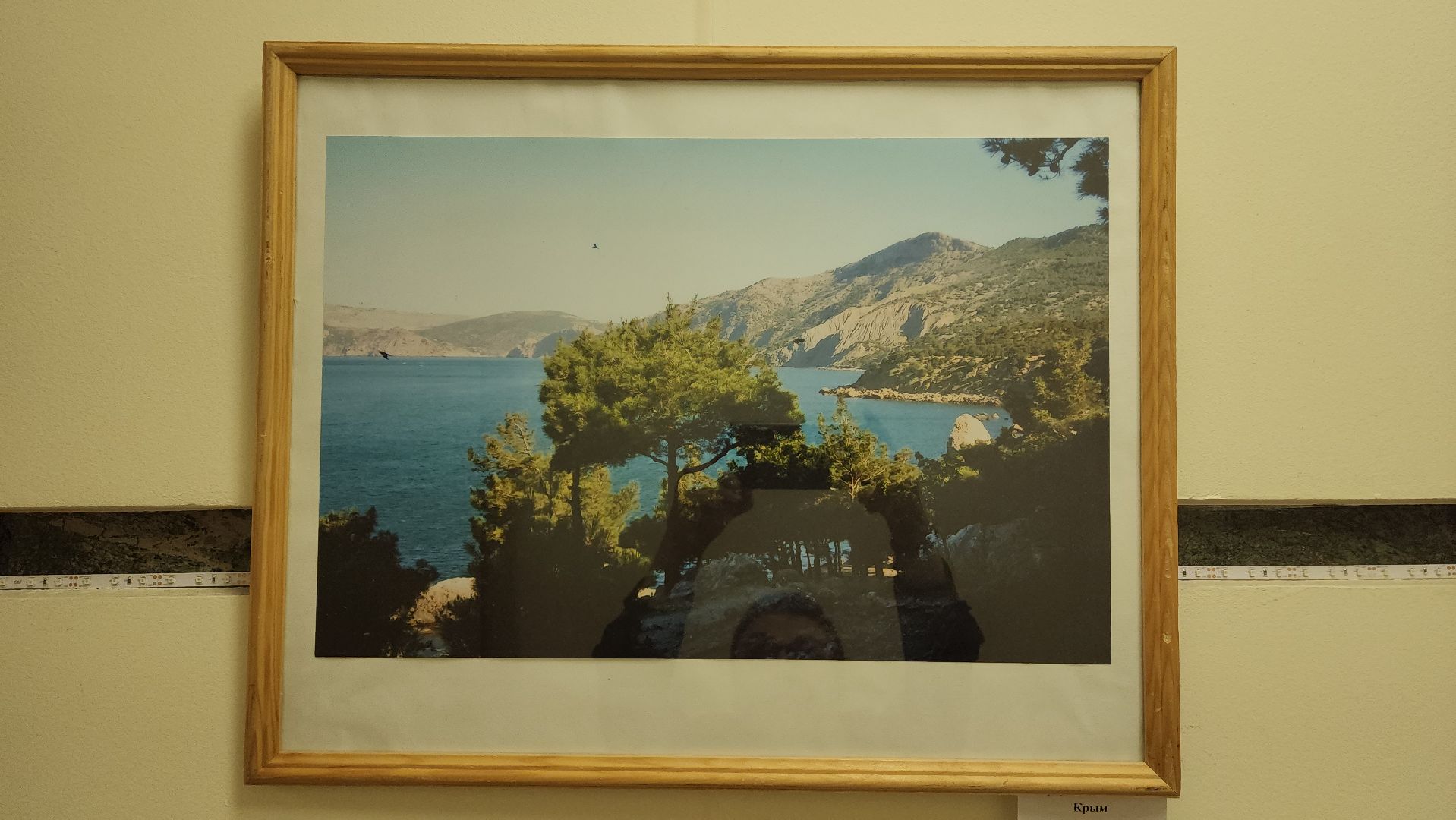 вертикалки, пушкино, фотовыставка, туризм,экспозиция, библиотека,туристические маршруты,