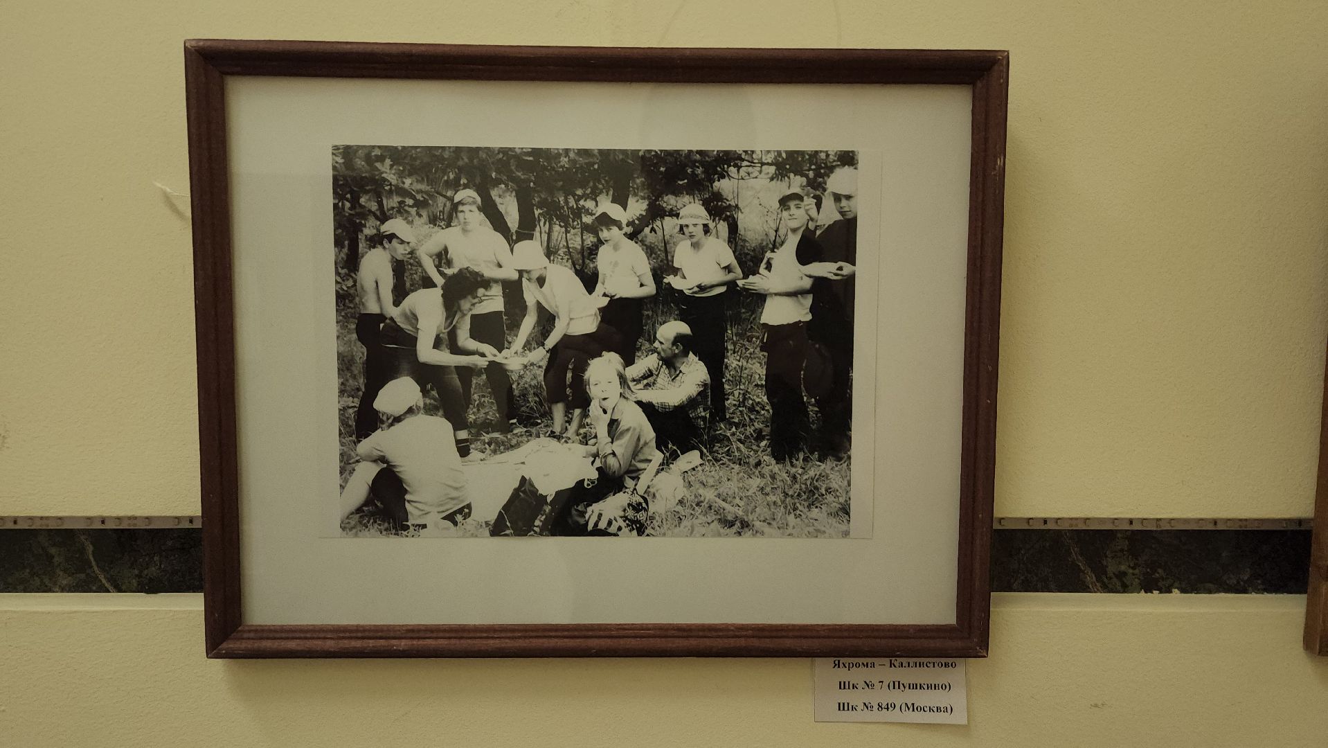 вертикалки, пушкино, фотовыставка, туризм,экспозиция, библиотека,туристические маршруты,