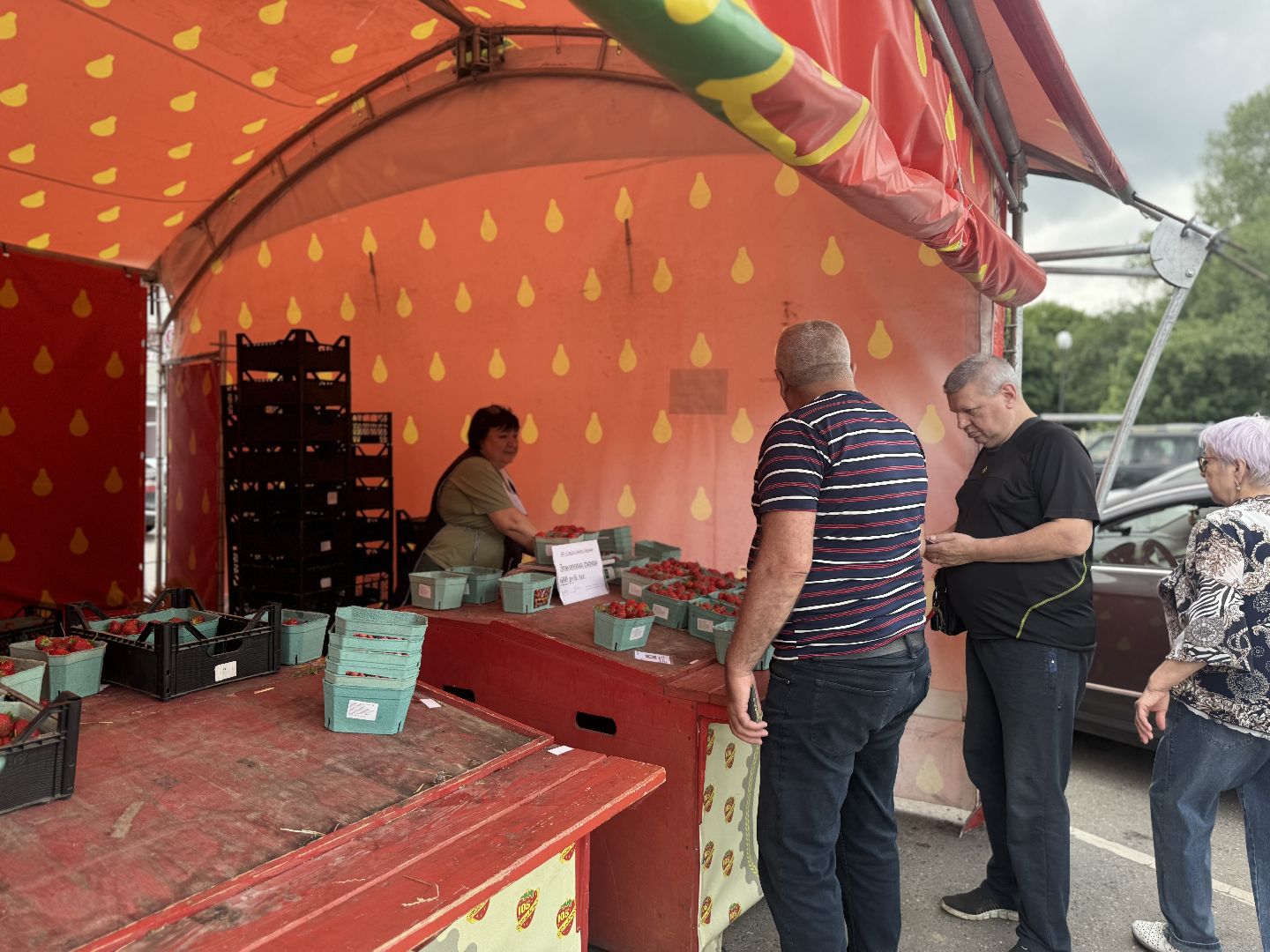 клубника, совхоз имени ленина , киоск клубничка, праздник урожая, ленинский городской округ,